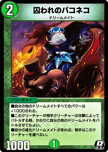 囚われのパコネコ