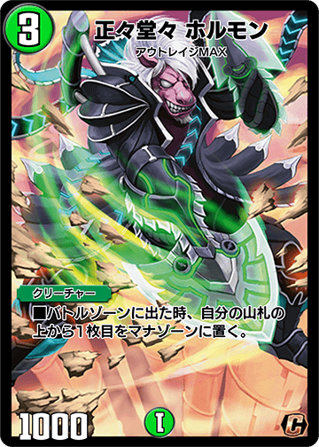 正々堂々 ホルモン